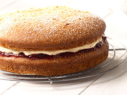 Wellcare Gluten Free Sponge and Cupcake Mix